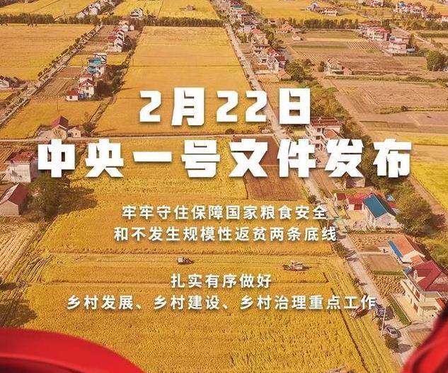 2022年中央一号文件指出抓好粮食生产和强化现代农业基础支撑