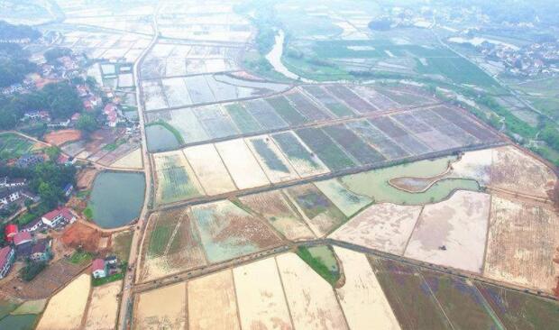 湖南：建好高标准农田 夯实粮食丰产根基