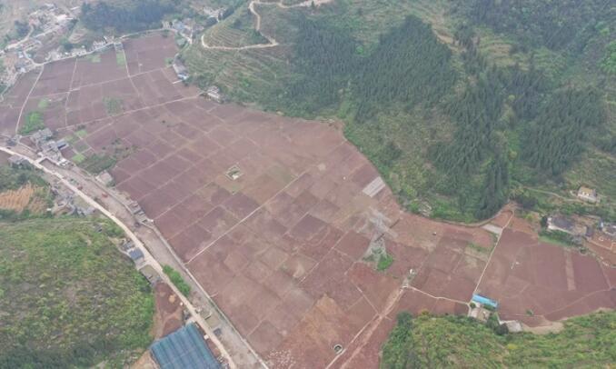 习水县习酒镇：建设高标准农田 不误农时备移栽